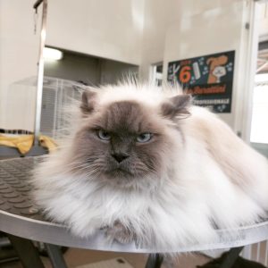 351912945_924639821948577_543462619190299608_n