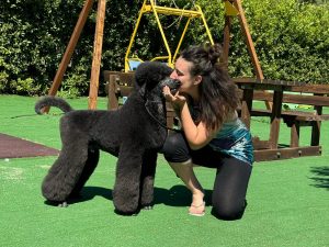 Immagine WhatsApp 2024-10-01 ore 15.18.07_19862c58