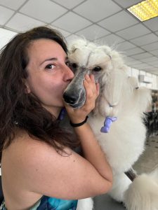 Immagine WhatsApp 2024-10-01 ore 15.19.21_17d773a1