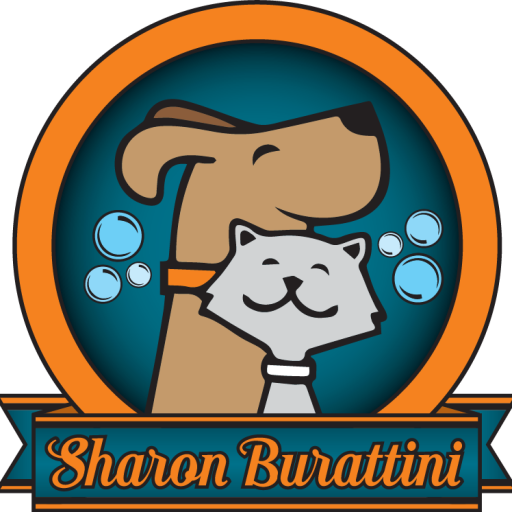 Sharon grooming saloon