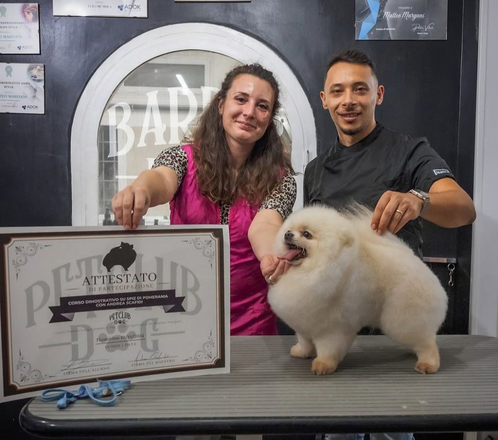 specializzazione spitz