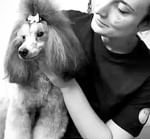 336153975_1530268014163959_6390951722959052038_n