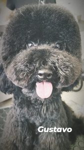 381085969_306266635383371_1497831638815657552_n