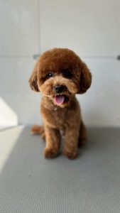 457738592_477732721720454_8810586116166901735_n