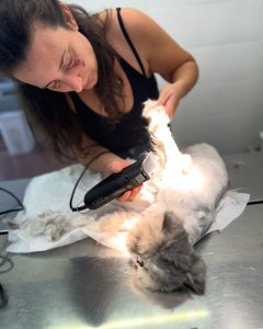 459774849_18100233892449909_5157165493505591165_n